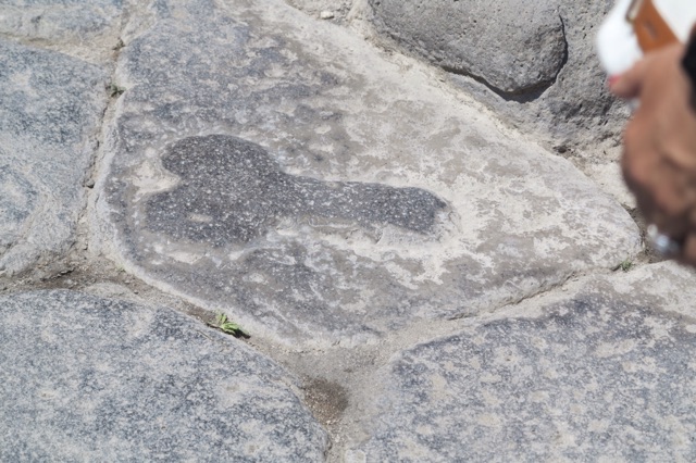 1.1464998400.pompeii---gps---giant-penis-street