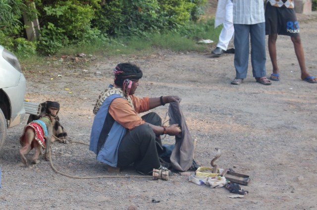 2.1413240676.snake-charmer-with-performing-monkeys